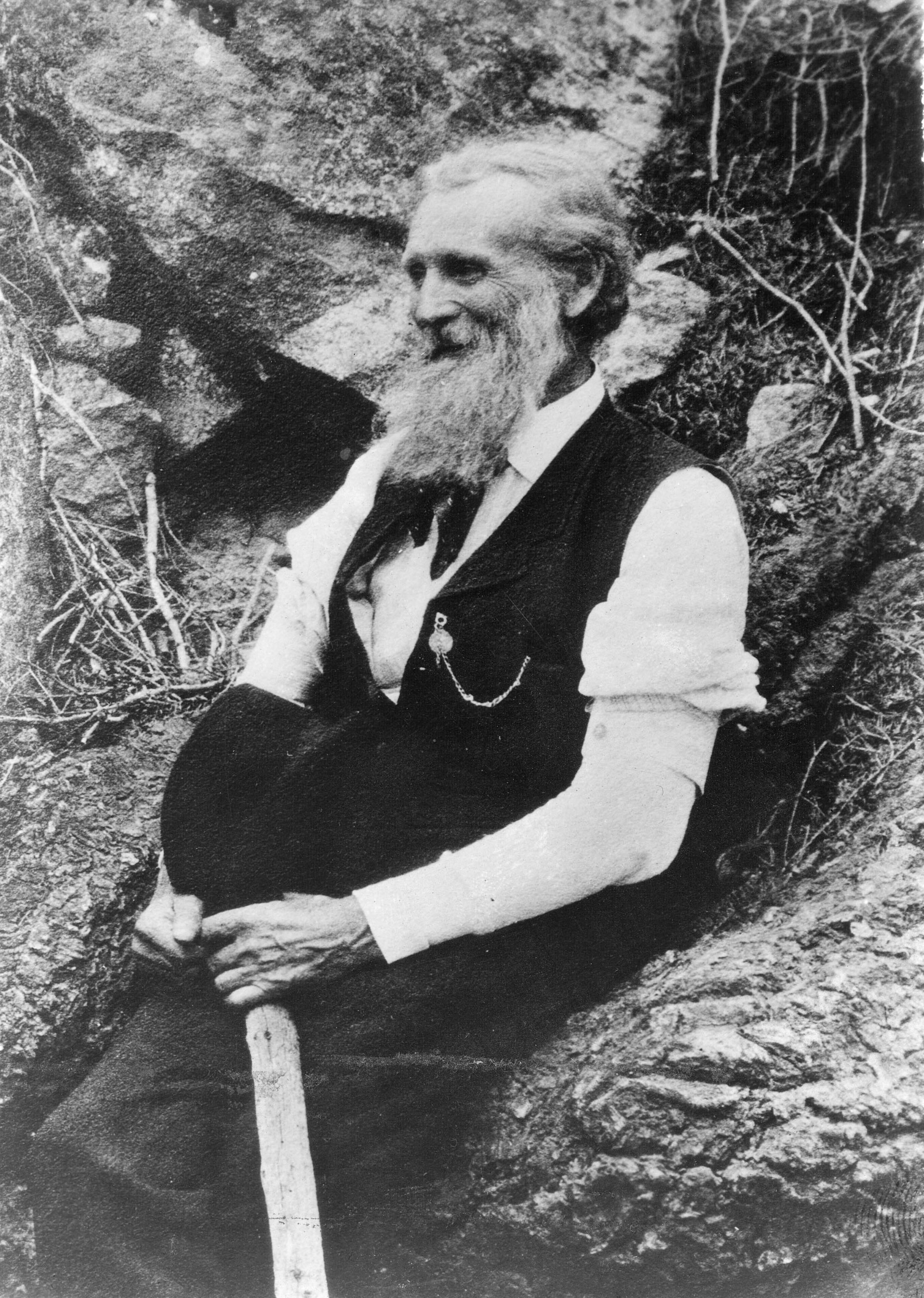 john muir first summer in the sierra